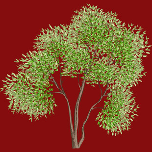 红色背景中的翠绿树木