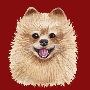 可爱博美犬头像