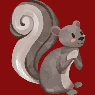 可爱松鼠插画