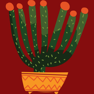 红色背景中的盆栽仙人掌