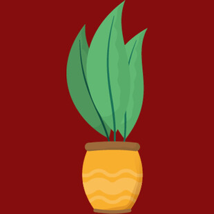 黄色花盆中的绿植