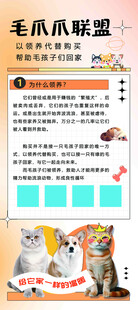 爪爪联盟宠物用品展示