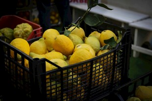 筐中鲜柠檬待售