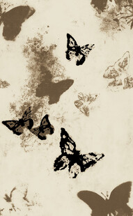 飞舞的蝴蝶剪影