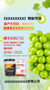 葡萄海报