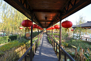 廊下红灯笼装点的清幽小径