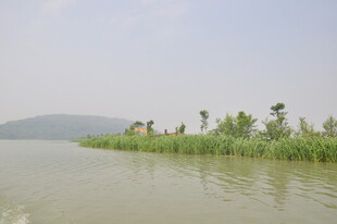 湖畔绿树映碧波