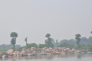 湖畔树木与岩石景观