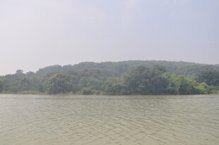 湖畔风光 绿树碧水相映