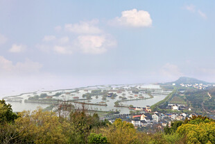 乡村晨景 薄雾中的宁静村落