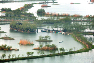 水上生态景观风光