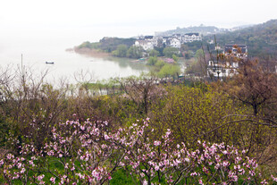 湖畔繁花盛开的美丽景致