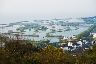 俯瞰水乡田园风光美景
