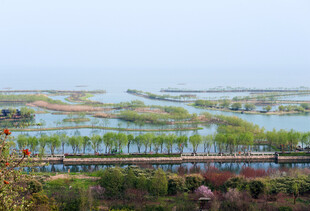湿地风光 多彩生态景观