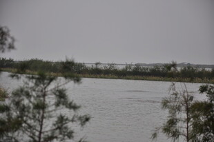 湖畔树木环绕的宁静水域