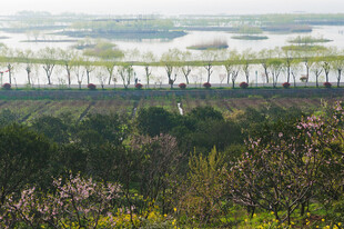 春日田园风光美景