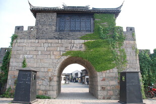 古旧城楼 藤蔓缠绕之景