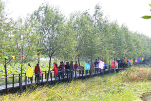 林间木栈道上的多彩人群