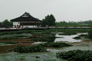 江南水乡湿地中式建筑景观