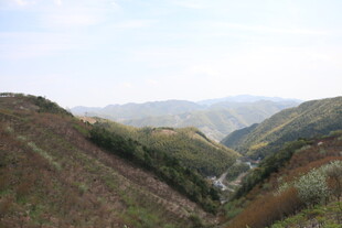 山间美景 展现自然风貌