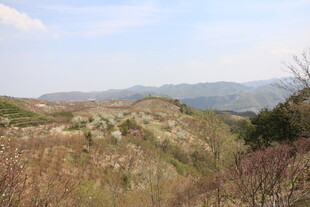 山野风光 尽显自然之美