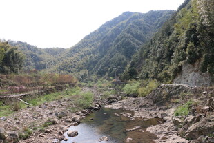 山间溪流蜿蜒于山谷间