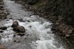 山间溪流潺潺流淌