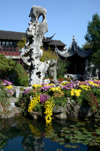 中式园林假山花卉景观