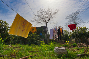 阳光下晾晒的多彩衣物
