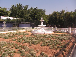 花园中的喷泉景观