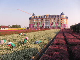 梦幻花海中的欧式城堡