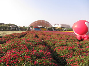 花海中的可爱粉色雕塑