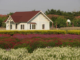田园小屋旁的多彩花田