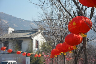 红灯笼装点古朴民居