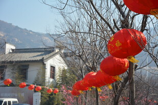 古宅前的红灯笼喜庆景象