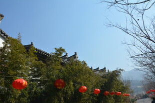 古巷红灯笼装点的冬日景致