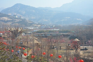 山村春日景致 繁花映远山