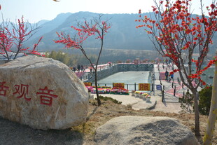 山间巨石与红枝观景处