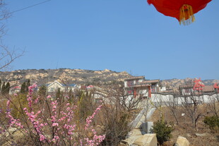 山村春日挂红灯景象