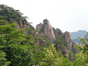 秀丽山峦间的葱郁景致