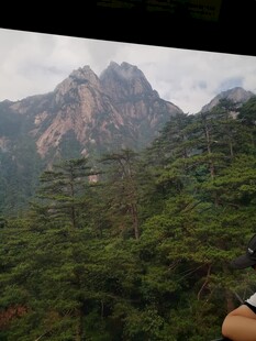 云雾缭绕的山林美景