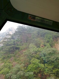 车窗外的葱郁山林