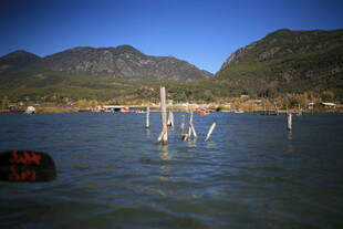 宁静湖水与远山枯木