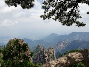 山巅松影下的壮美山色