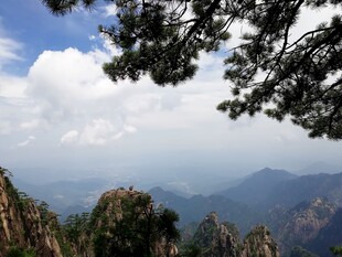 黄山美景 松与山峦云海