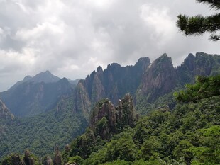 壮丽山峦间的葱郁景致