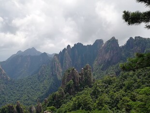 壮丽山峦与葱郁植被景观