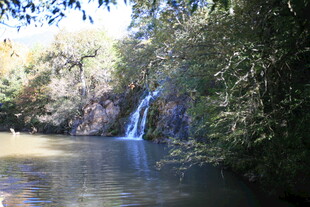 林间瀑布下的静谧水域