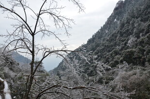 冬日雪覆山林景致