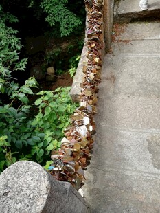 石边绿植装点的自然景致